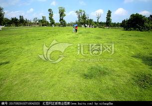 青青青草国产免费观看,国产免费观看，绿色生态影视盛宴